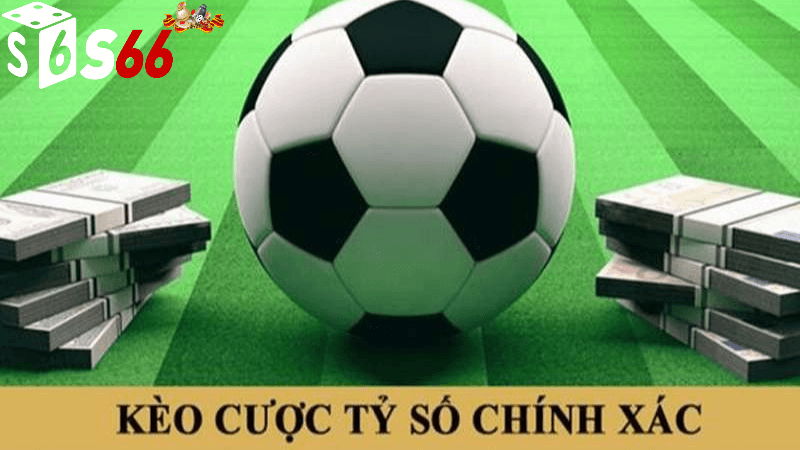 cá cược tỷ số tại S66